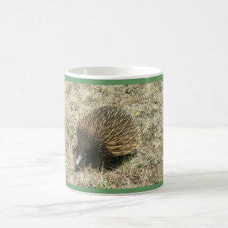 Tasse d'ECHIDNA