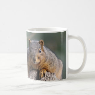 Tasse d'écureuil