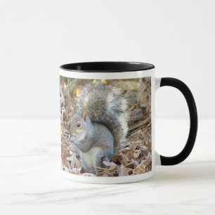 Tasse d'écureuil