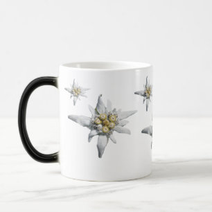 Tasse d'edelweiss