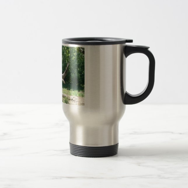 Tasse d'éléphant (Droit)