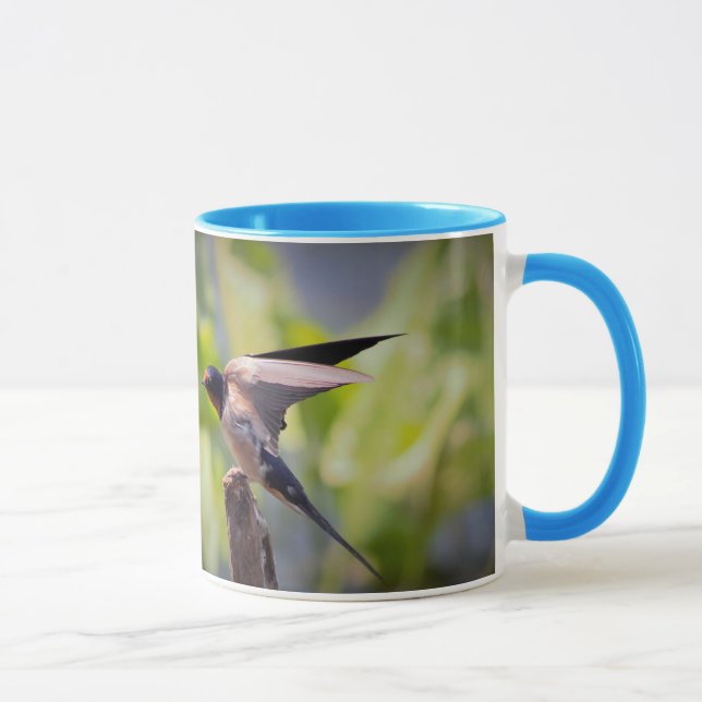 Tasse d'hirondelle de grange (Droite)