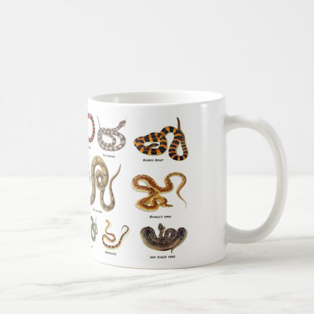 Tasse d'identification de serpent (Droite)