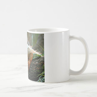Tasse d'iguane