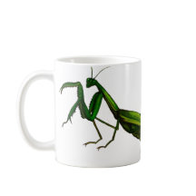 Tasse d'insecte, vert de mante de prière