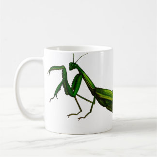 Tasse d'insecte, vert de mante de prière