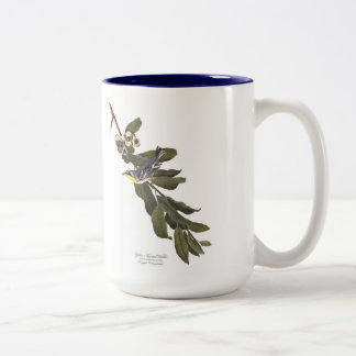 Tasse d'oiseau d'Audubon, fauvette Jaune-Throated,