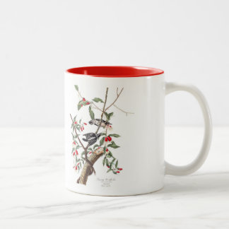 Tasse d'oiseau d'Audubon, pivert duveteux, 15
