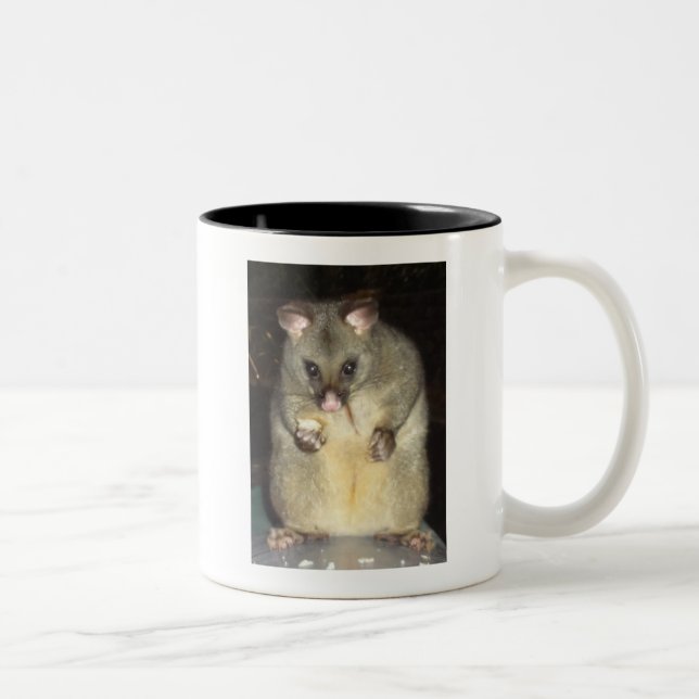 tasse d'opossum (Droit)