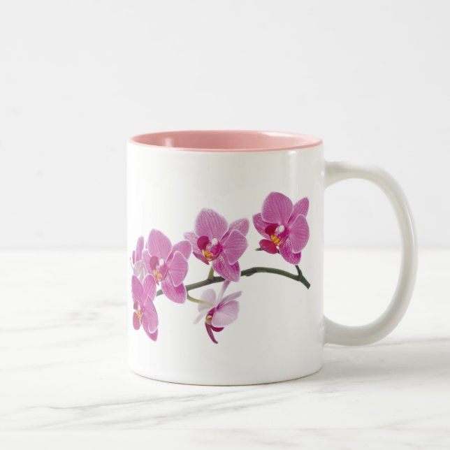 TASSE D'ORCHIDÉE (Droit)