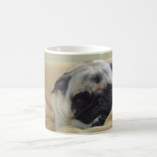 Tasse douce de carlin