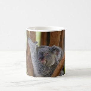 Tasse d'ours de koala