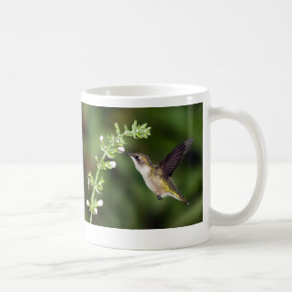 Tasse du colibri 10