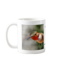 Tasse du colibri d'Allen masculin