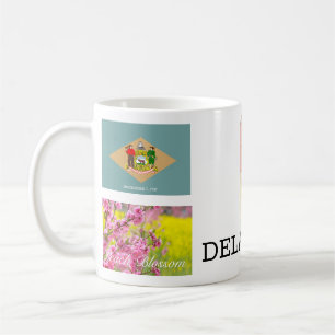 TASSE DU DELAWARE