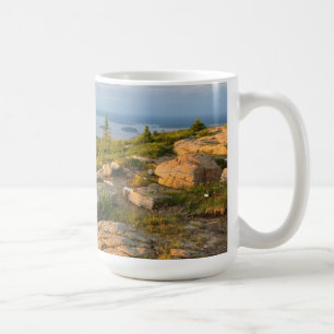 Tasse du Maine de parc national d'Acadia de