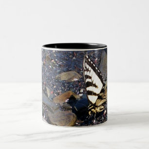 Tasse du papillon 1 de machaon de tigre