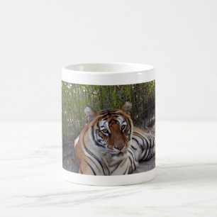 Tasse du tigre de Bengale 003