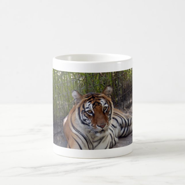 Tasse du tigre de Bengale 003 (Centre)