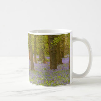 Tasse en bois de jacinthe des bois