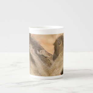 Tasse En Porcelaine babouins en herbe