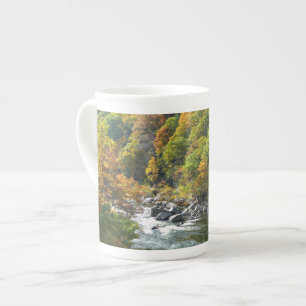 Tasse En Porcelaine Couleurs d'automne au parc d'État d'Ohiopyle