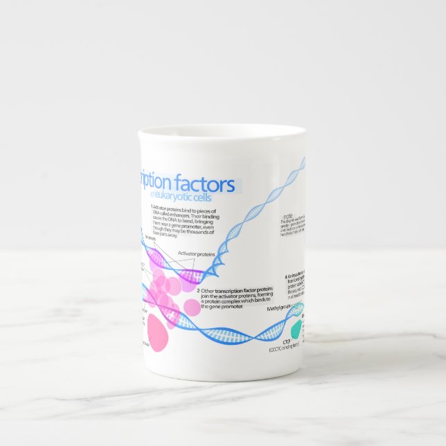 Tasse En Porcelaine Diagramme des facteurs de transcription génétique (Devant)