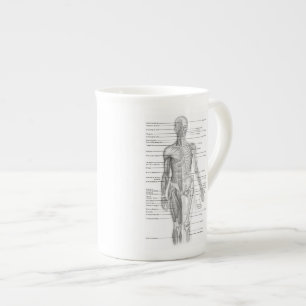 Tasse En Porcelaine Diagramme humain éducatif d'anatomie