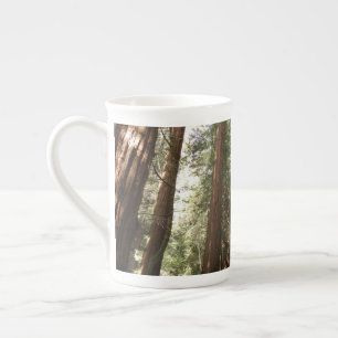 Tasse En Porcelaine Jusqu'aux séquoias II à Muir Woods National Monume
