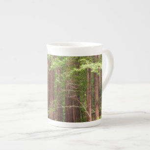 Tasse En Porcelaine Les séquoias au monument national de Muir Woods