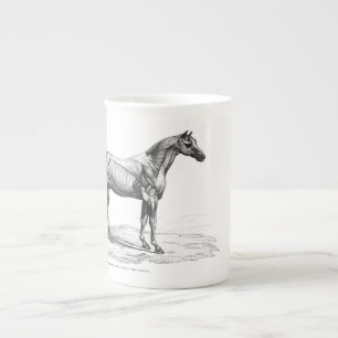 Tasse En Porcelaine Rétro image d'anatomie de muscle de cheval