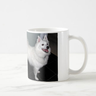 Tasse esquimaude américaine