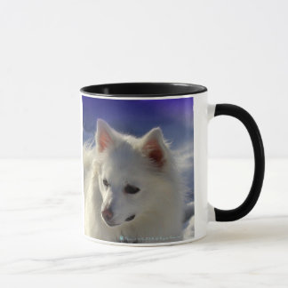 Tasse esquimaude américaine