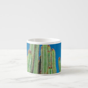 Tasse Expresso Afrique Désert Paysage Nature Cactus Plantes