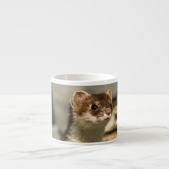 Tasse Expresso Alerte Weasel (Devant)