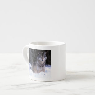 Tasse Expresso Amérique du Nord, Canada, Est du Canada, Loup gris