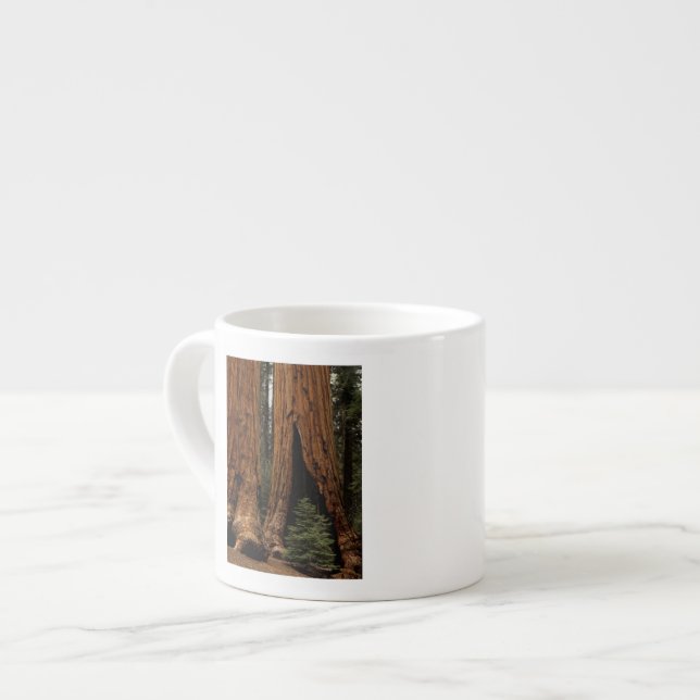 Tasse Expresso Arbres de séquoia, Parc national de Sequoia. (Devant gauche)