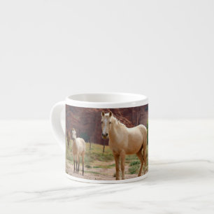 Tasse Expresso Arizona, réserve indienne navajo, Chinle,