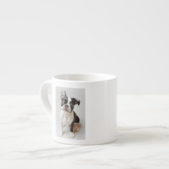 Tasse Expresso Boston Terrier (Devant gauche)