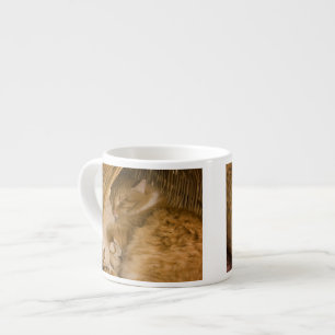 Tasse Expresso Chat tigré orange dormant dans un panier