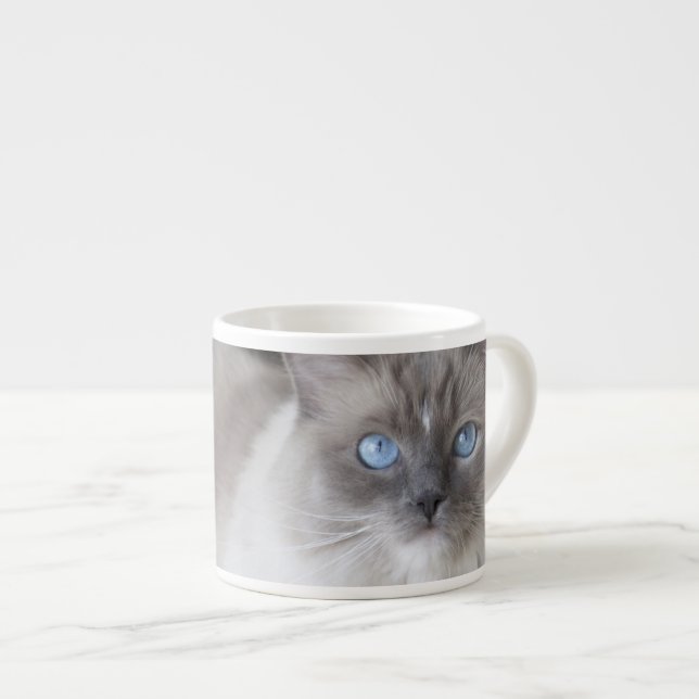 Tasse Expresso Chatte Ragdoll (Devant droit)