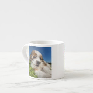 Tasse Expresso Chiot mignon (Shitzu)