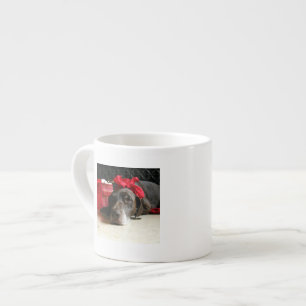 Tasse Expresso Christmas german shorthred pointer