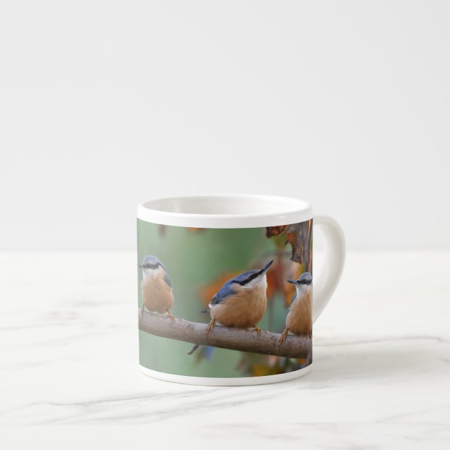 Tasse Expresso Collage de sittelle (Devant droit)