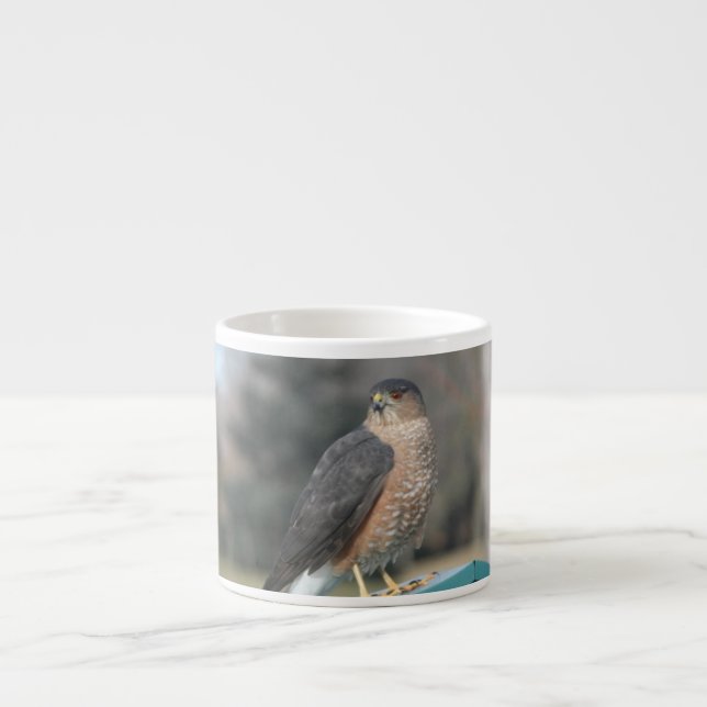 Tasse Expresso Coopers Hawk (Devant)
