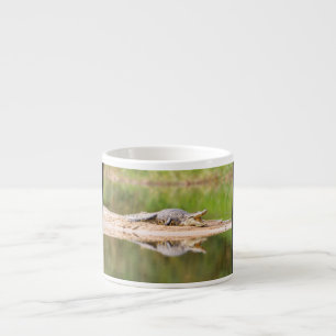 Tasse Expresso Crocodile