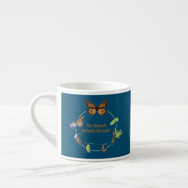 Tasse Expresso Cycle de vie du papillon monarque (Gauche)