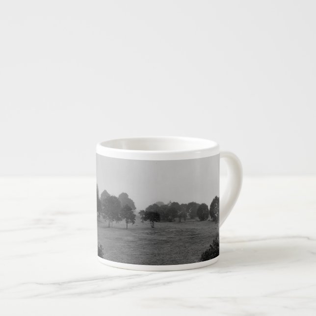 Tasse Expresso De beaux arbres et la nature dans le brouillard (Devant droit)