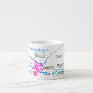 Tasse Expresso Diagramme des facteurs de transcription de gène