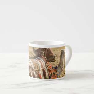 Tasse Expresso Egypte, Le Caire. Repose des chameaux